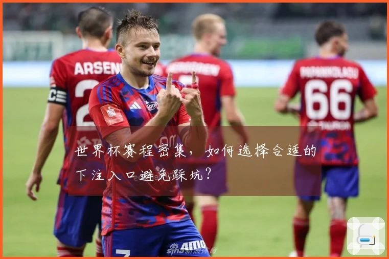 世界杯赛程密集，如何选择合适的下注入口避免踩坑？