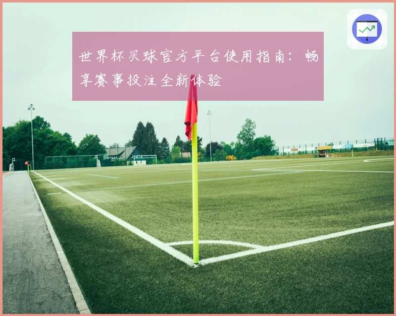 世界杯买球官方平台使用指南：畅享赛事投注全新体验