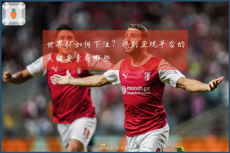 世界杯如何下注？识别正规平台的关键要素有哪些
