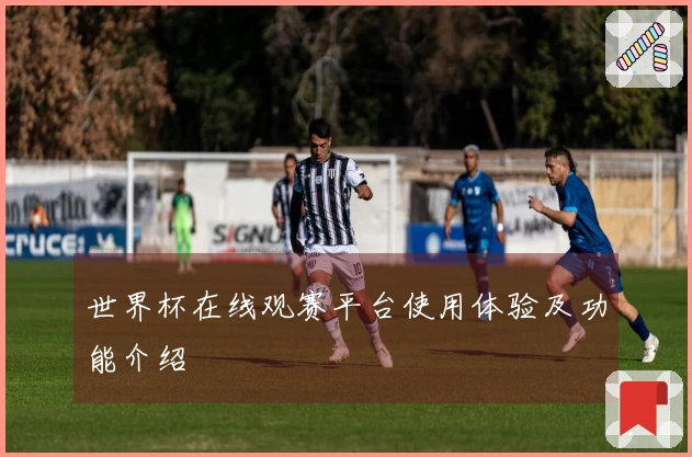 世界杯在线观赛平台使用体验及功能介绍