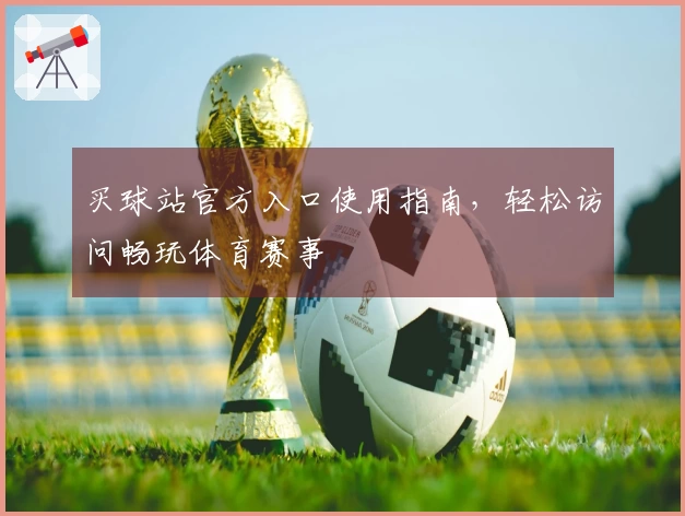 买球站官方入口使用指南，轻松访问畅玩体育赛事