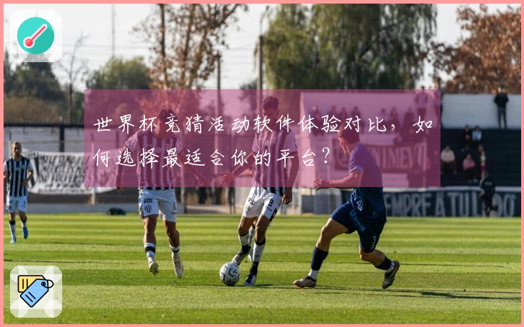 世界杯竞猜活动软件体验对比，如何选择最适合你的平台？