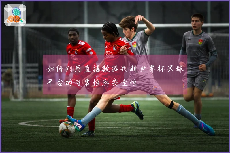 如何利用直播数据判断世界杯买球平台的可靠性和安全性