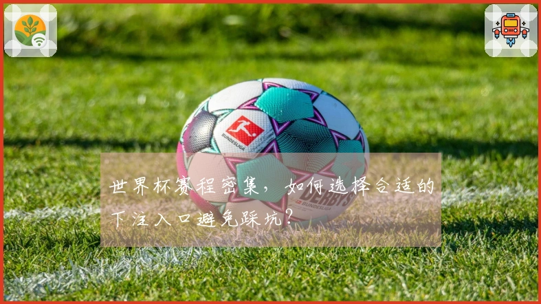 世界杯赛程密集，如何选择合适的下注入口避免踩坑？