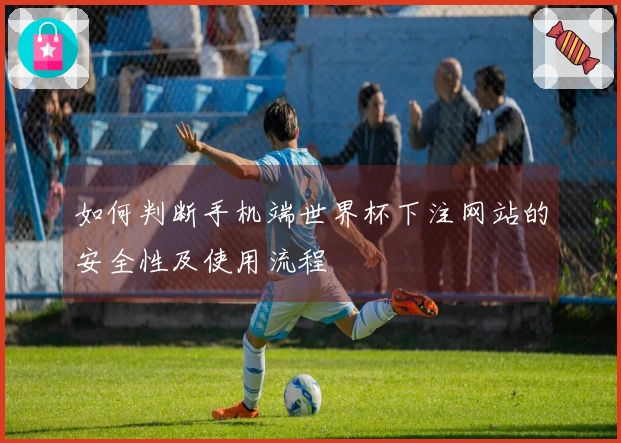 如何判断手机端世界杯下注网站的安全性及使用流程