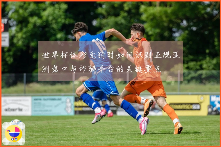 世界杯体彩竞猜时如何识别正规亚洲盘口与诈骗平台的关键要点