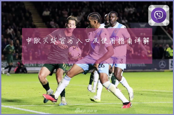 中欧买球官方入口及使用指南详解