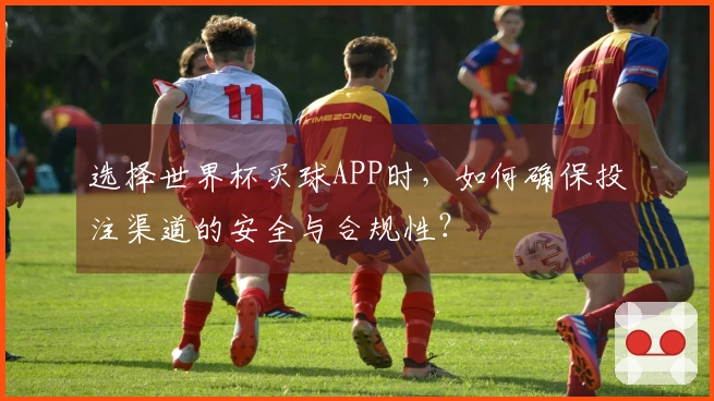 选择世界杯买球APP时，如何确保投注渠道的安全与合规性？