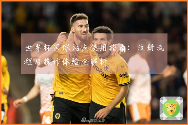 世界杯买球站点使用指南：注册流程与操作体验全解析