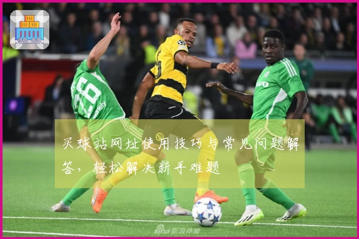 买球站网址使用技巧与常见问题解答，轻松解决新手难题