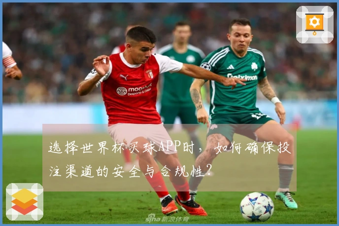 选择世界杯买球APP时，如何确保投注渠道的安全与合规性？