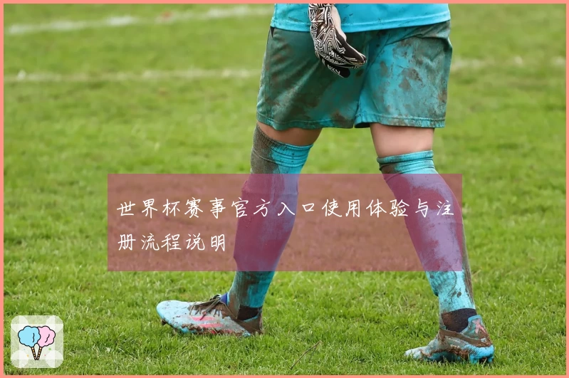 世界杯赛事官方入口使用体验与注册流程说明