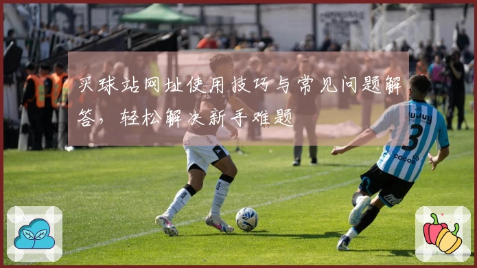 买球站网址使用技巧与常见问题解答，轻松解决新手难题