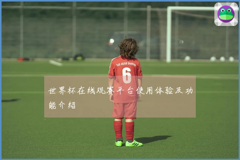 世界杯在线观赛平台使用体验及功能介绍