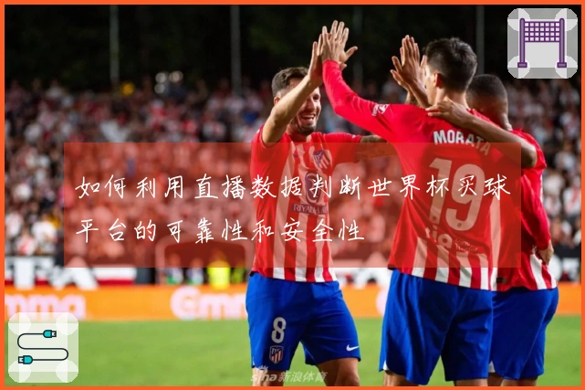 如何利用直播数据判断世界杯买球平台的可靠性和安全性
