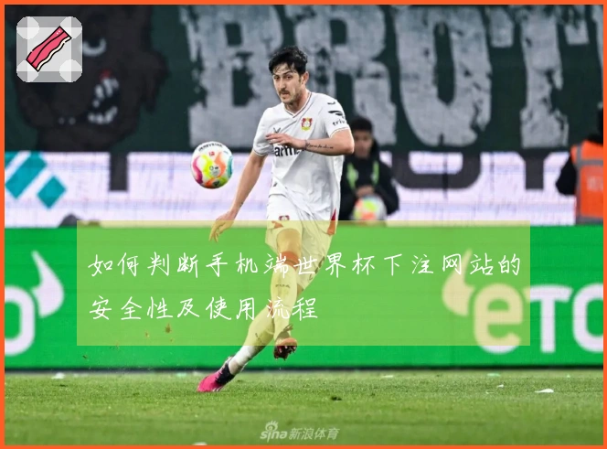 如何判断手机端世界杯下注网站的安全性及使用流程